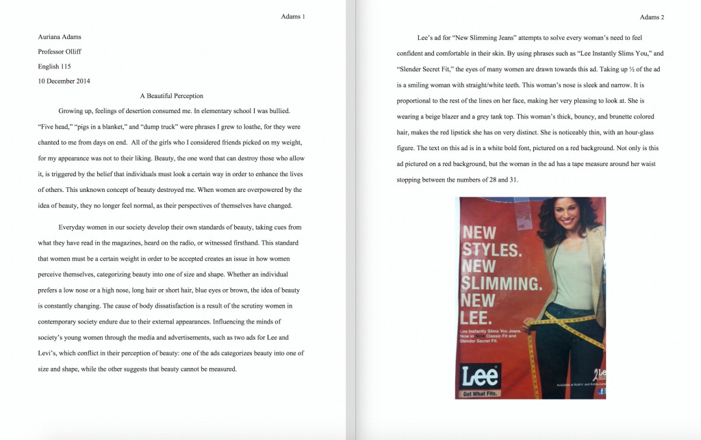 Image of student essay that opens up as a pdf file.